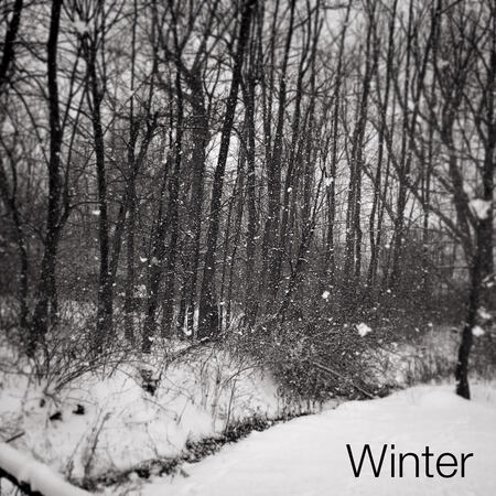 Winter (2017)